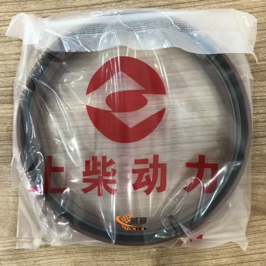 D02A-118-02B+B  REAR CRANK SEAL D02A-118-02B+B 4110000997163 Oil seal for crankshaft rear-end